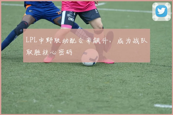 LPL中野联动配合率飙升,成为战队取胜核心密码